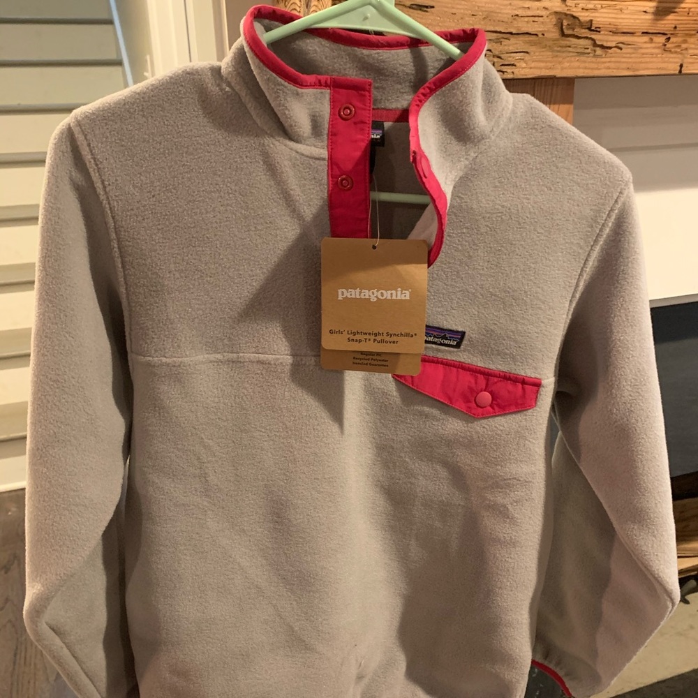 Patagonia Synchilla pullover